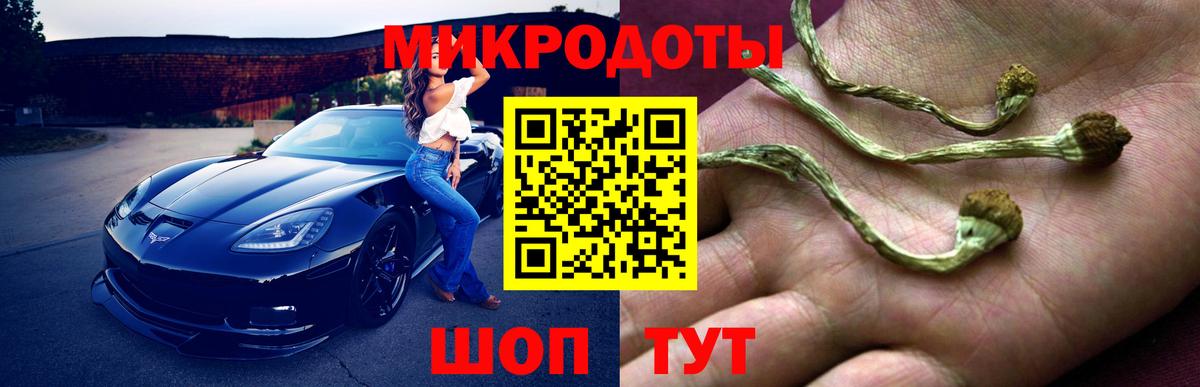 Чебаркуль  Псилоцибиновые грибы прущие грибы  Вход с VPN 